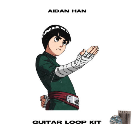 Aidan Han rock lee guitar loop kit WAV